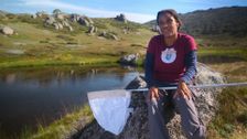 S1 E2: Ecosystems and our Changing Climate