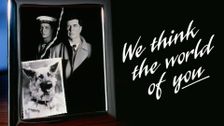 We Think the World of You