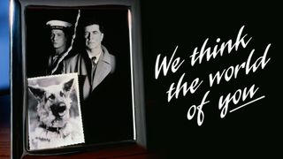 We Think the World of You