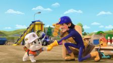 S4 E8: The Crew Builds A Soap Box Derby; The Crew Builds A Bird Flight School