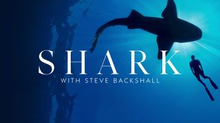 Shark with Steve Backshall