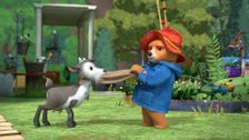 S2 E20: Paddington Opens the City Farm