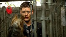 S9 E5: Dog Dean Afternoon