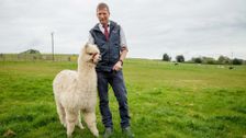 S5 E6: The Yorkshire Vet