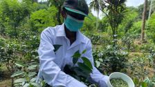 S2022 E12: Sri Lanka's Organic Dream