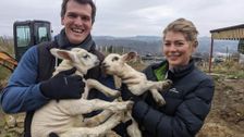 S13 E9: The Yorkshire Vet