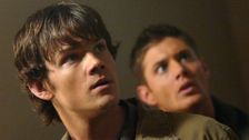 S1 E8: Bugs