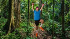 S1 E6: Rainforests