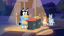 S2 E42: Bin Night