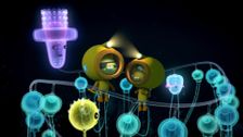 S3 E1: Siphonophore