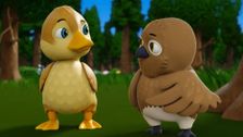 S1 E4: Duck, Duck, Fly