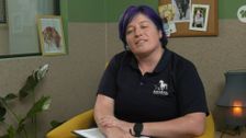 S3 E8: The Dog House Australia