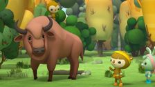 S2 E16: European Bison