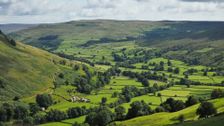 S1 E3: Kettlewell