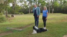 S2 E6: Dogs Behaving (Very) Badly Australia