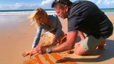 S24 E17: Sunshine Coast, Hiroshima, Mornington Peninsula