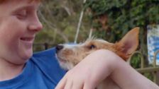 S6 E23: Bondi Vet