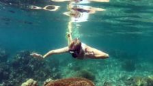 S24 E14: Fiji, Sydney, Cape Town