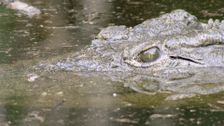S1 E3: iSimangaliso Wetland Park