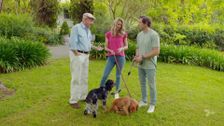 S18 E4: Better Homes and Gardens Summer