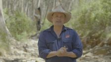 S6 E1: Ararat