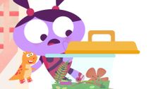S1 E46: Roly Poly Disappears