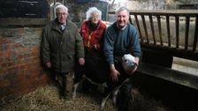 S2 E1: The Yorkshire Vet