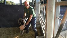 S10 E2: The Yorkshire Vet