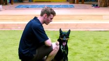 S1 E6: The Dog House Australia