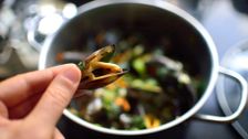 S4 E54: MasterChef Australia