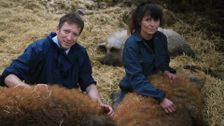 S2 E3: The Yorkshire Vet
