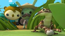 S2 E15: Monitor Lizards