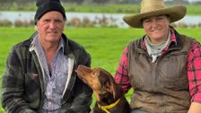 S3 E5: Muster Dogs: Collies and Kelpies