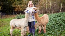 S3 E10: The Yorkshire Vet