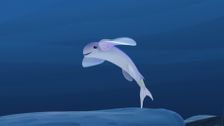 S1 E5: The Flying Fish