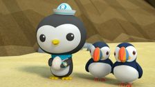 S1 E13: The Octonauts and the Puffin Colony