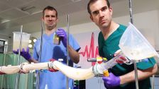 S4 E4: What's in your Diarrhoea?