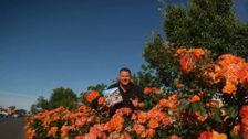 S13 E33: South Aussie With Cosi