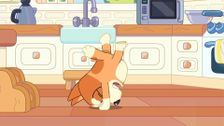 S2 E45: Handstand