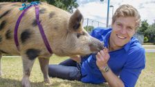 S7 E13: Bondi Vet