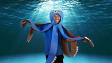 S1 E1: Under the Sea