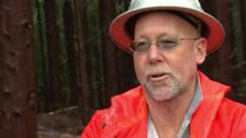S1 E8: Loggers Under Fire