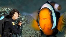 S1 E11: Andy and the Saddleback Clown Fish