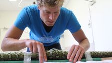 S3 E10: Bondi Vet