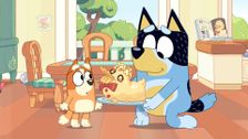 S2 E44: Duck Cake