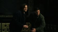 S8 E15: Man's Best Friend With Benefits
