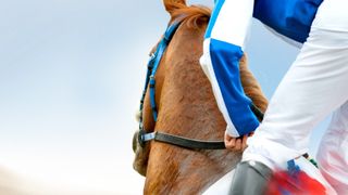 Flashback - Rupert Clarke Stakes