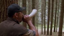 S16 E8: Ngatapa