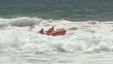 S2 E7: Surf Patrol