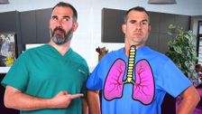 S1 E2: Lungs